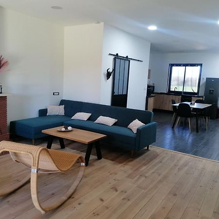 Maison Loft Dans Ancienne Ferme Montauban Eksteriør billede